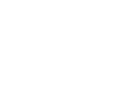 bangalore-logo-blanco-irunvf