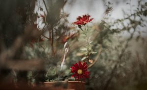 fotografo de bodas irun renteria donostia fotos bodas gipuzkoa bangalore estudio alza fotografia-50.jpg