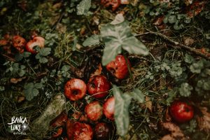 fotografo de bodas irun renteria fotos Bangalore Estudio Bodas reporaje bodas preboda gipuzkoa fotos boda-25