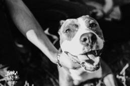 BangaLore Estudio fotografo bodas Irun gipuzkoa foto bodas fotografia donostia renteria tania_-13