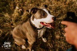BangaLore Estudio fotografo bodas Irun gipuzkoa foto bodas fotografia donostia renteria tania_-89
