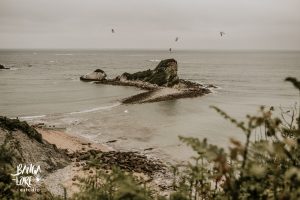 fotografo de bodas irun donostia gipuzkoa fotografia de boda fotos bodas renteria bangalore estudio-5